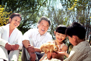 Experience teaching english in China