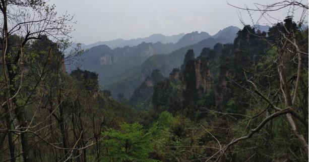 zhangjiajie-park